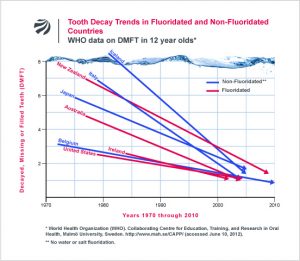 Tooth Decay Trends